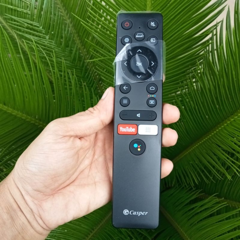REMOTE ĐIỀU KHIỂN TIVI CASPER (GIỌNG NÓI)