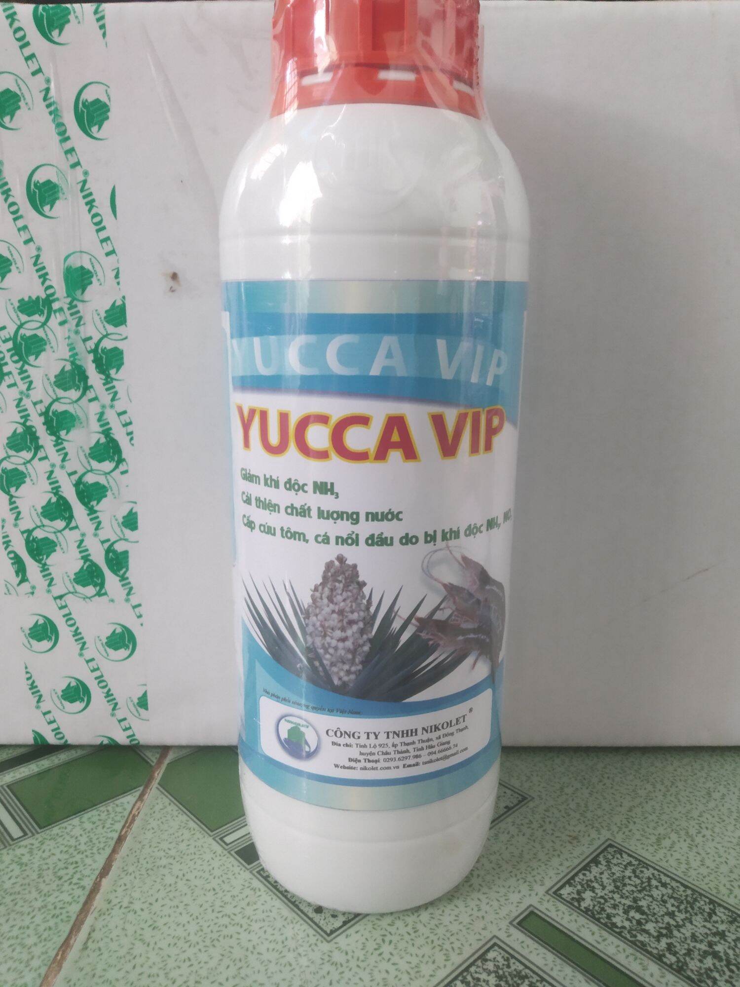 Yucca vip