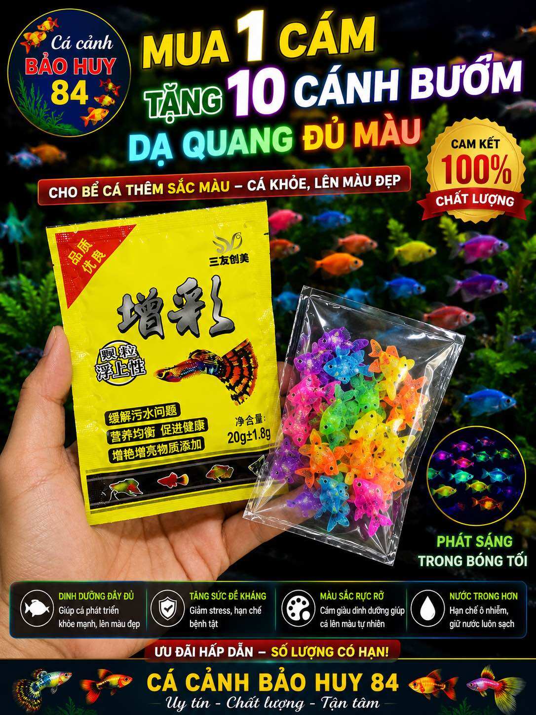 [Tặng cá]  Mua CÁM TẶNG 10 CÁNH BƯỜM DẠ QUANG ĐỦ MÀU