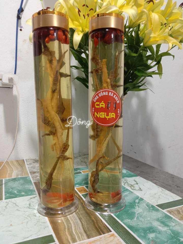 1 Bình cá ngựa ngâm sẵn 1 lít