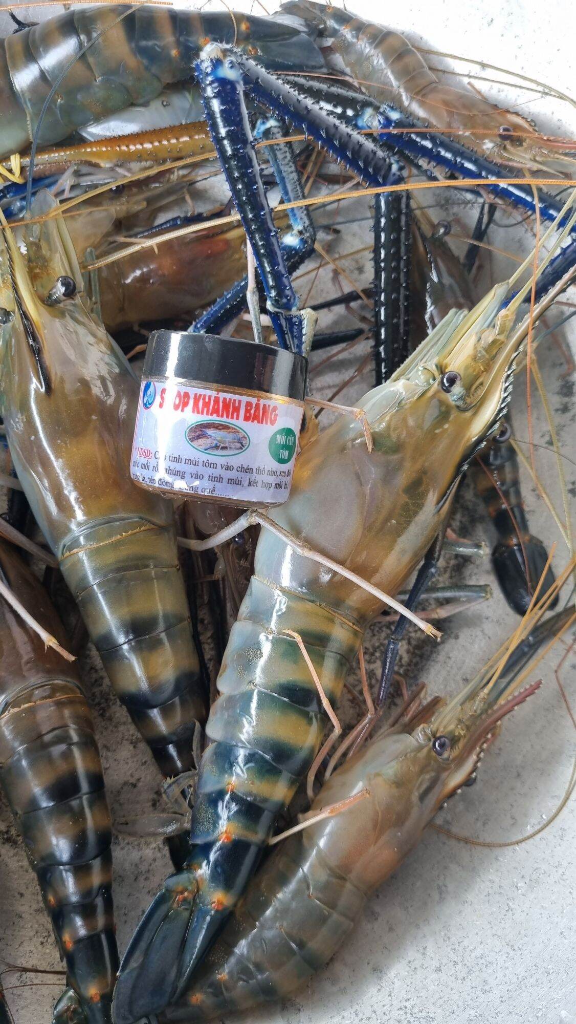 TINH MÙI CÂU TÔM CÀNG XANH 30ml