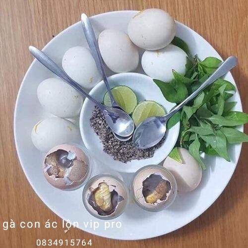 10 trứng gà ác lộn SẠCH thơm ngon bổ dưỡng cho người già trẻ nhỏ và phụ nữ mang thai