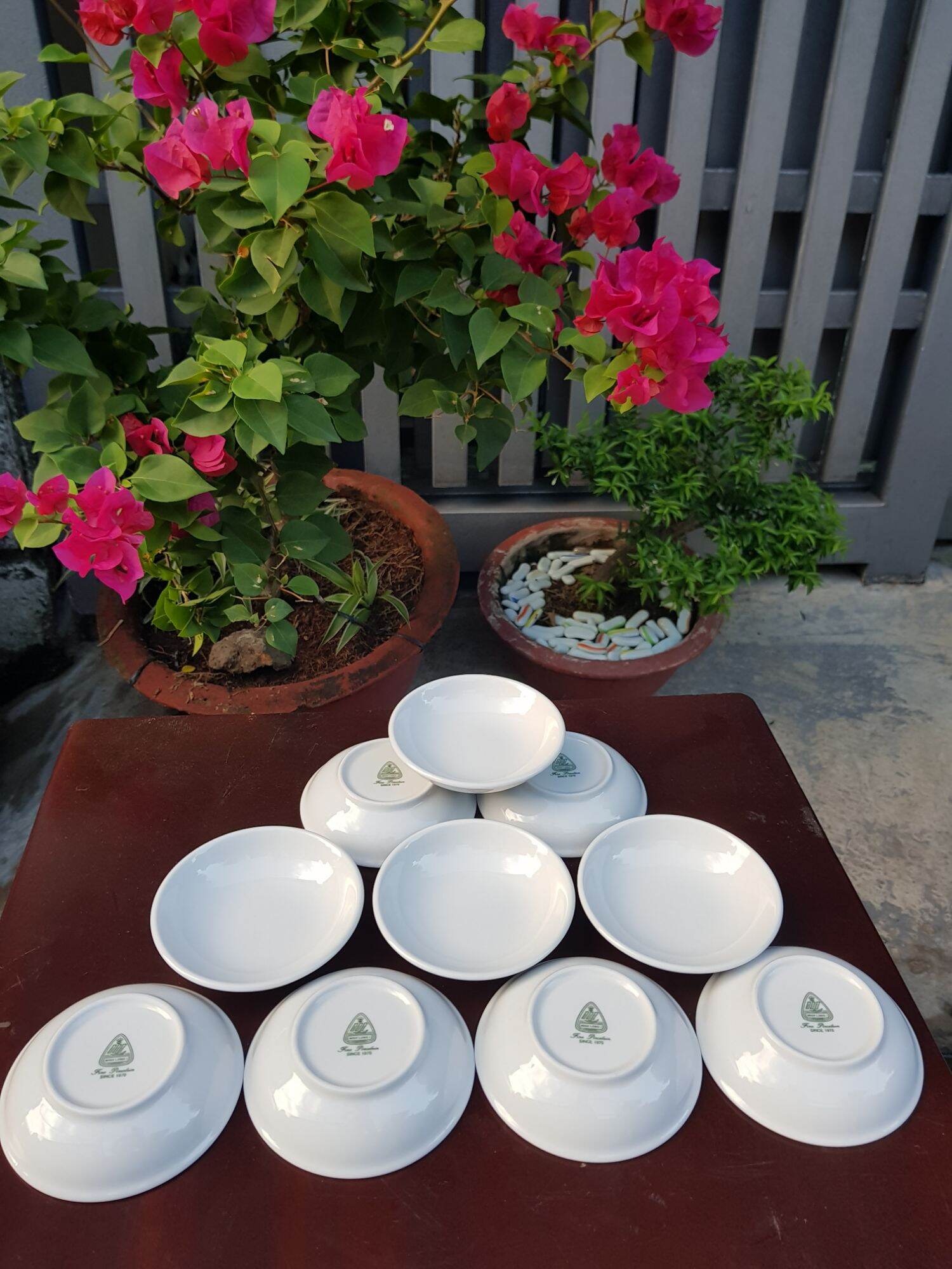 10 chén chấm minh long