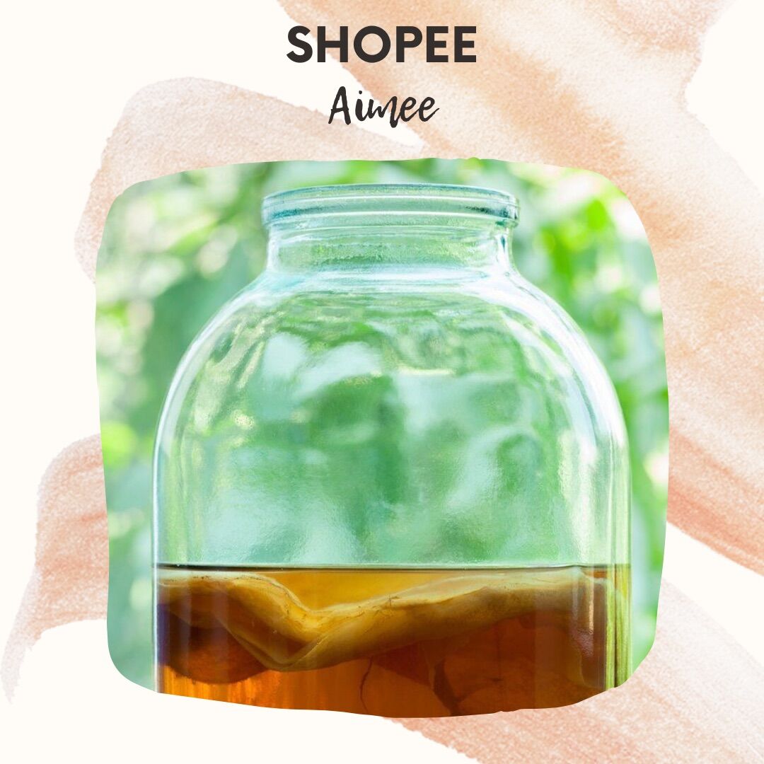 Trà Kombucha, giống Kombucha