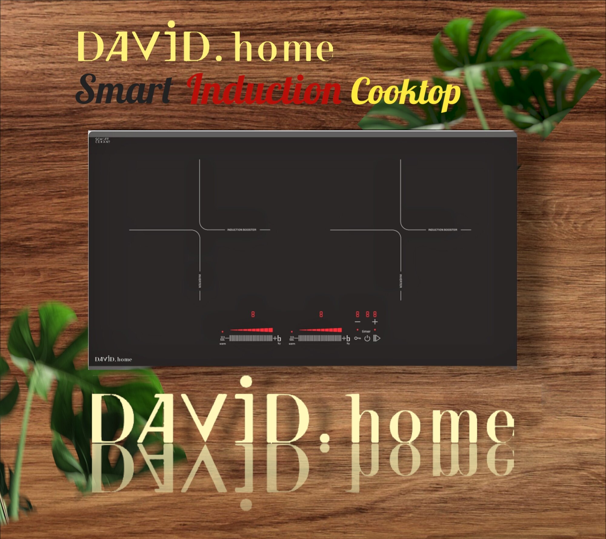 Bếp điện từ DAVID.home DHLY03