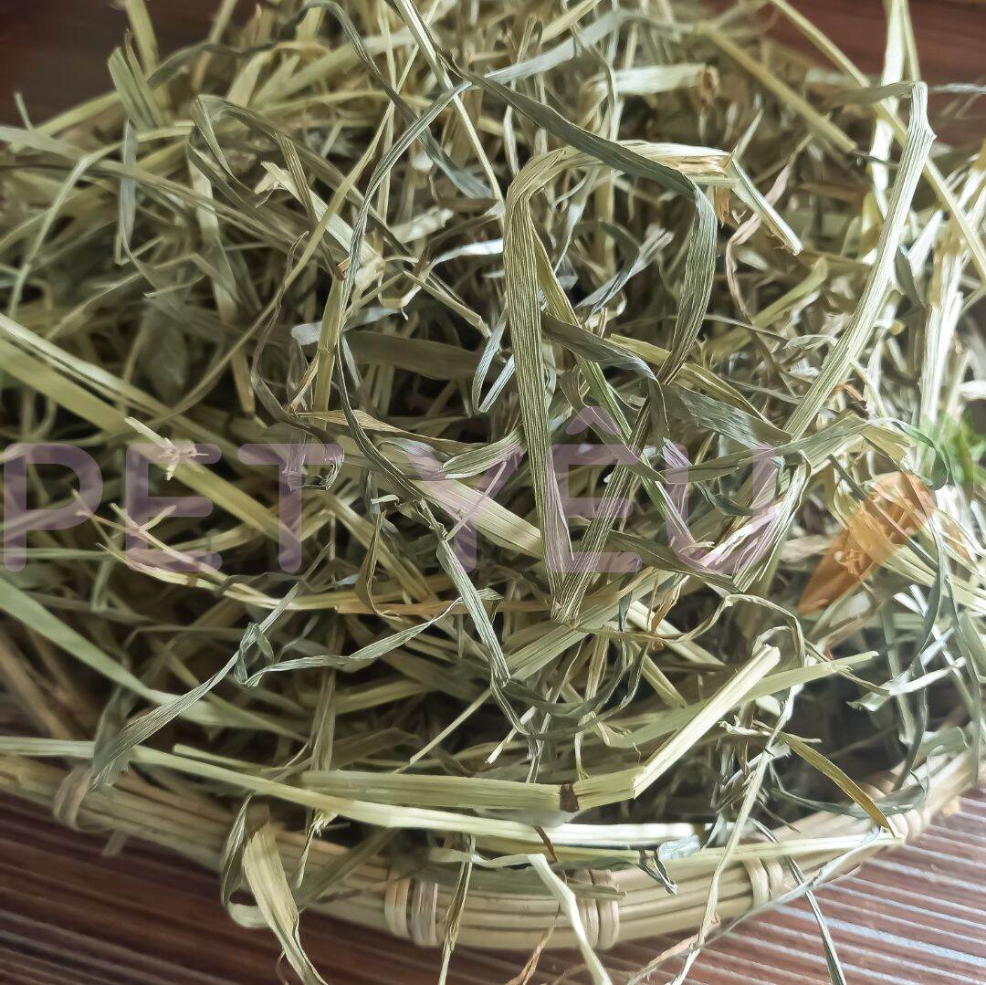 Cỏ khô timothy thức ăn dành cho bé thỏ bọ trên 6 tháng 🥕🥕