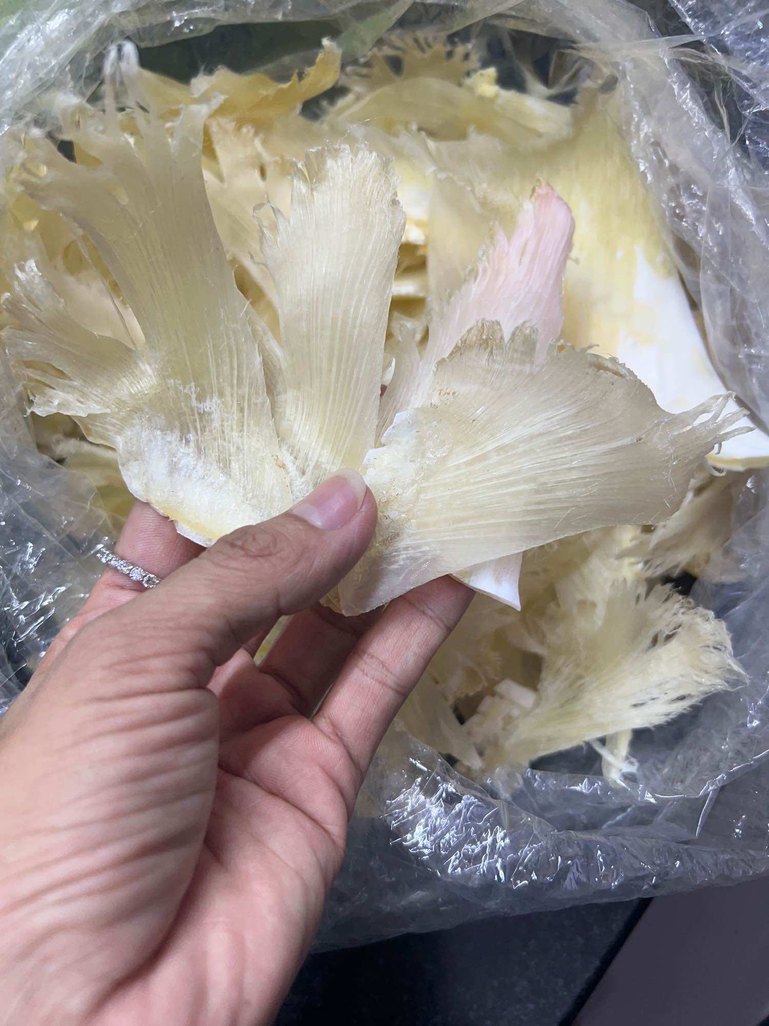 [loại 1] vi  cao cấp nấu súp nguyên cánh(100g)