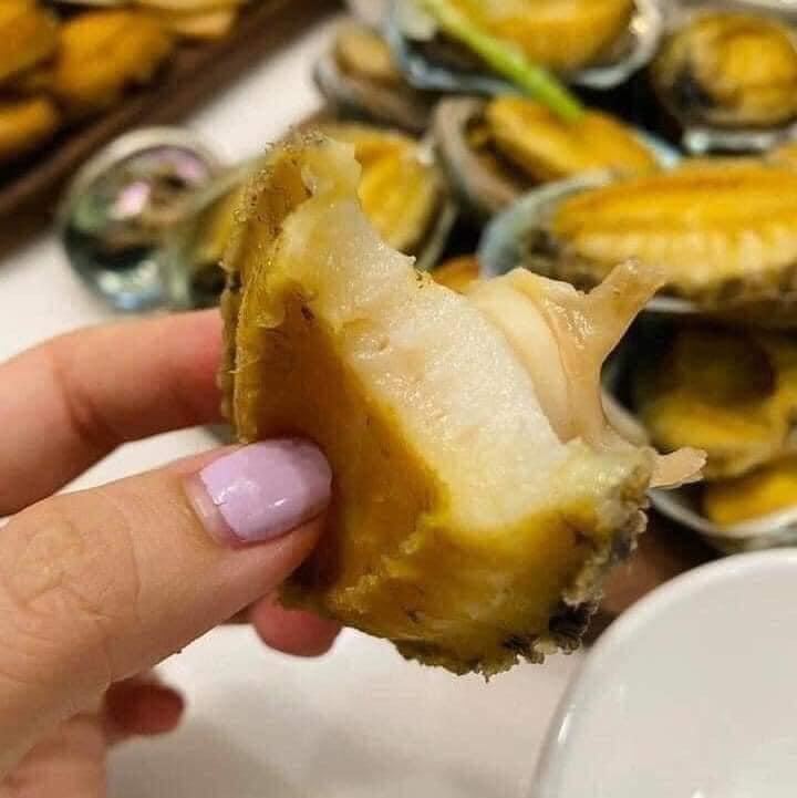 Bào ngư Hàn Quốc 500gr (Chỉ giao Tphcm)