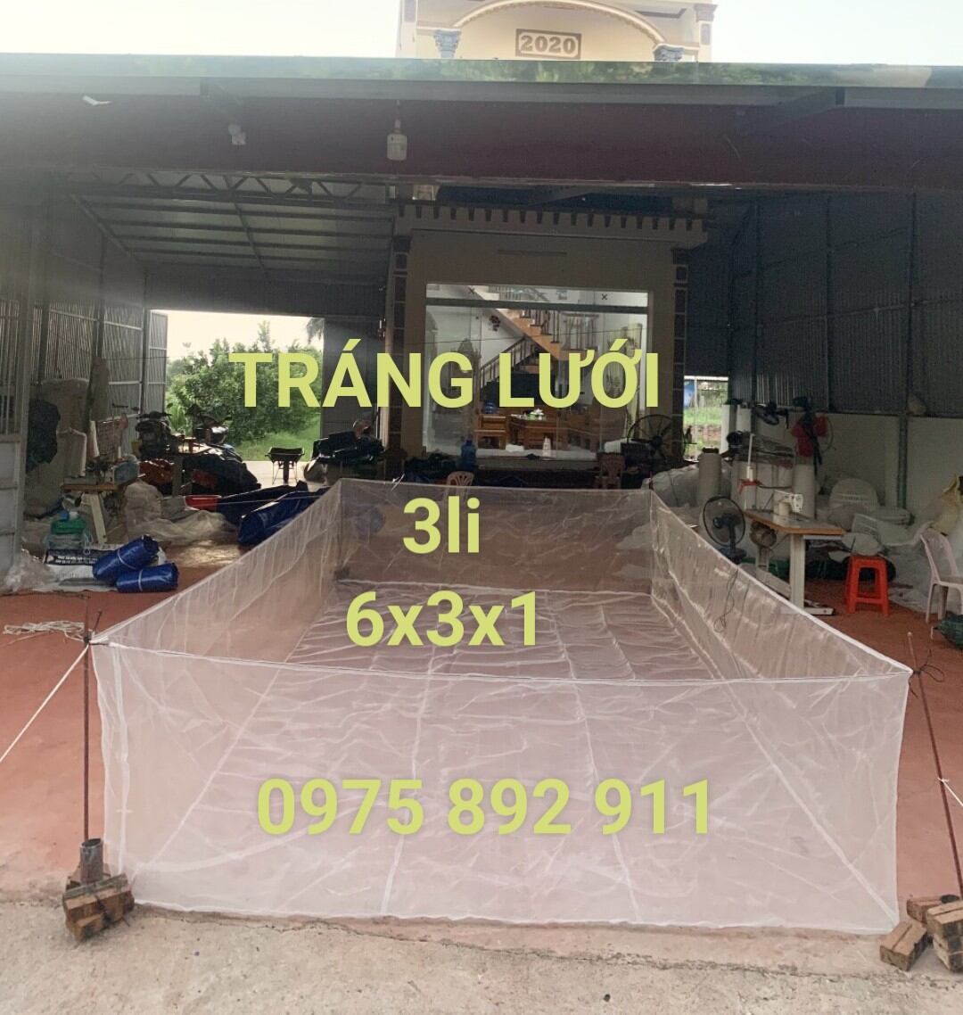 Tráng lồng vèo lưới nuôi ốc ếch cá 6x3x1