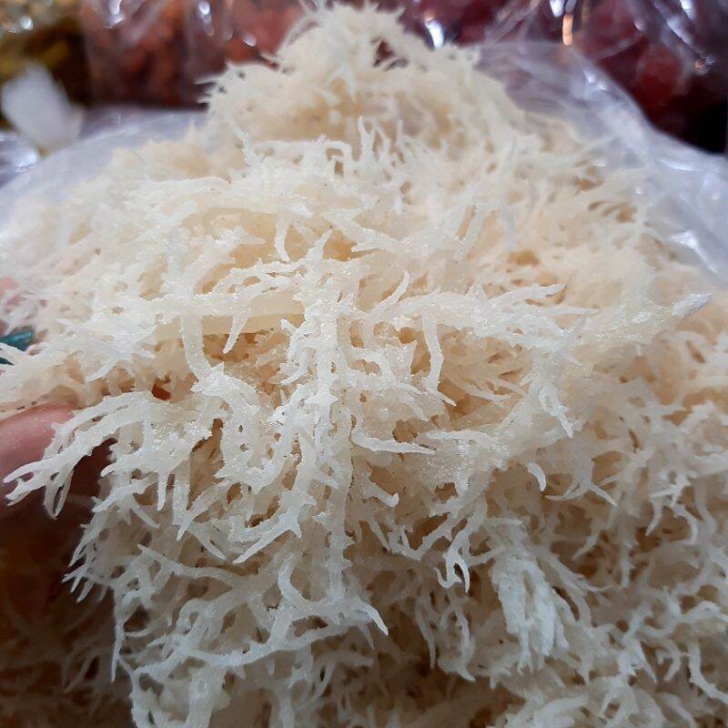 1 Kg Rong Sụn , Rong Biển Trắng Khô