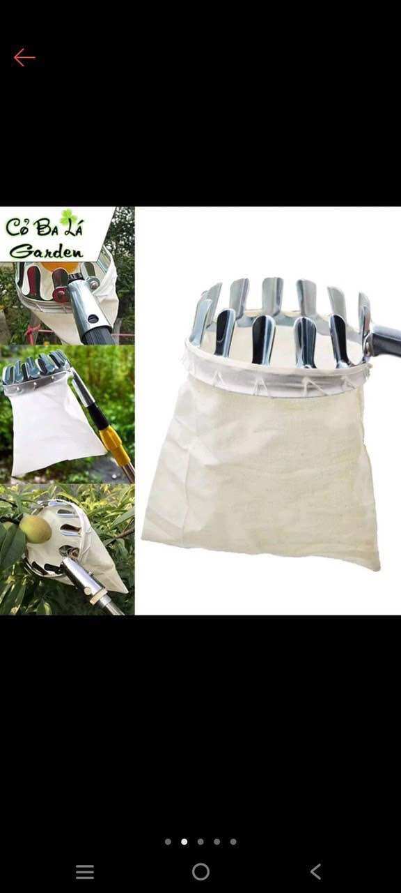 Đầu vợt hái trái cây bằng inox