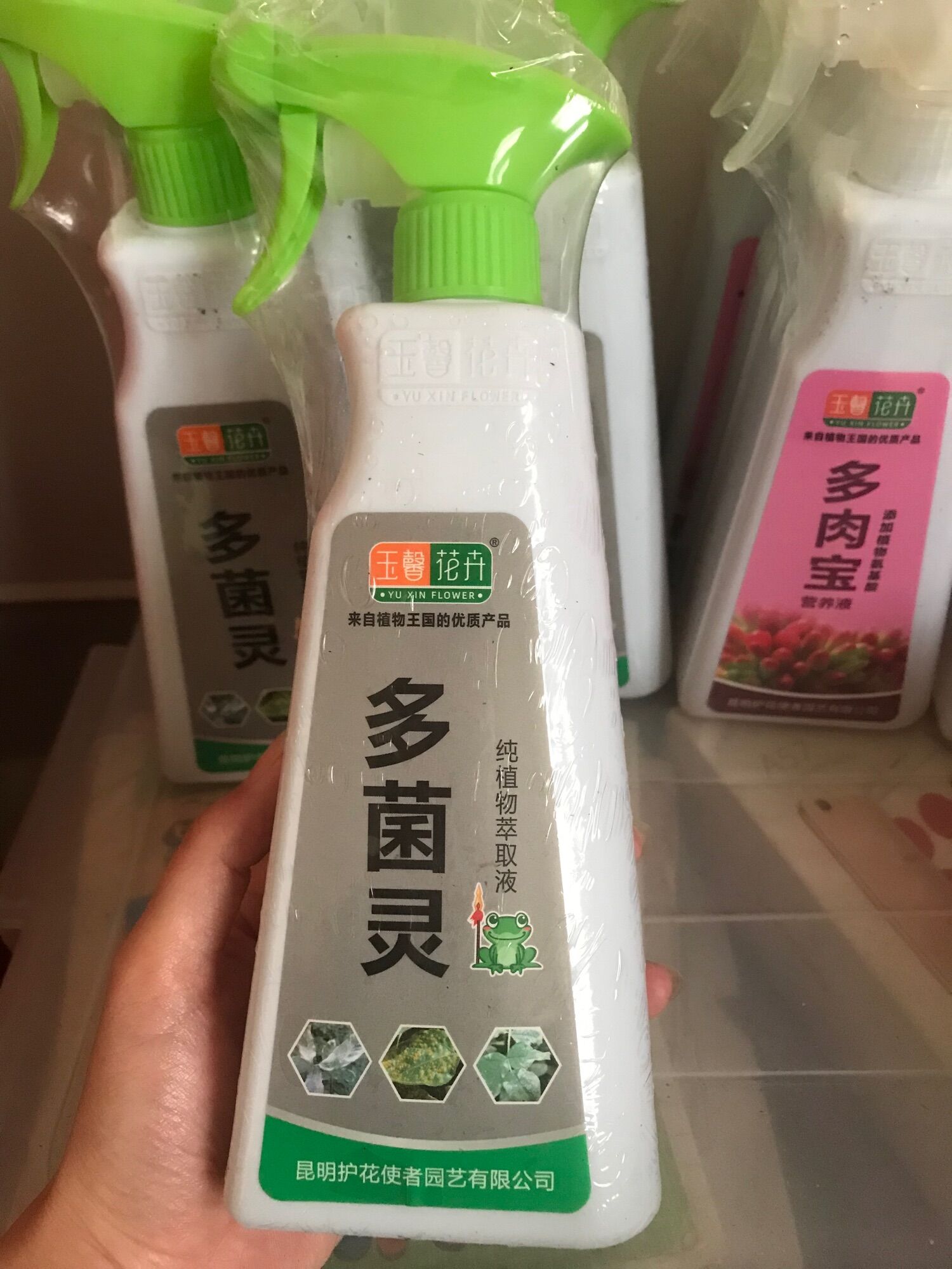 Chai xịt diệt sâu 🐛 rệp yuxin