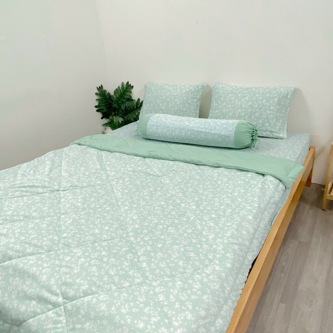 Bộ chăn ga/drap trải giường áo gối thun hàn quốc