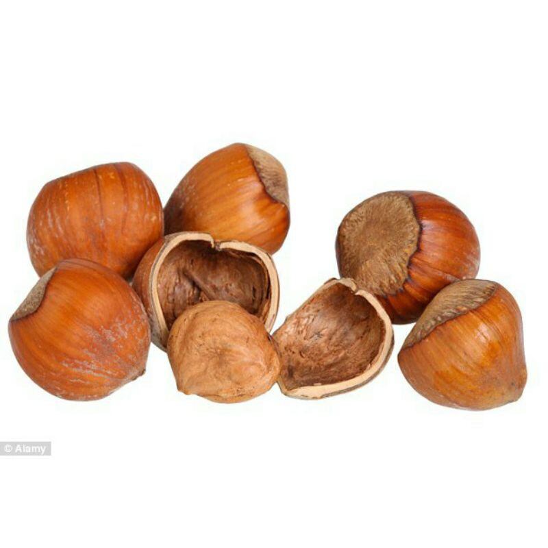 Nhân hạt phỉ chuẩn Mỹ còn sống 200g, 500gram ( hazelnut)