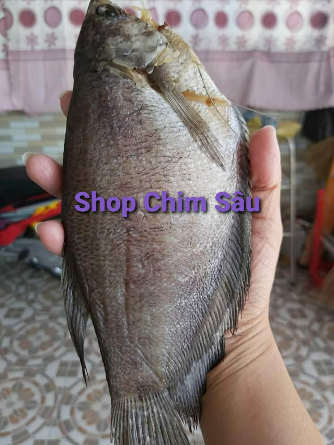 Khô sặc rằn U Minh - Cà Mau (8 con/500gam)