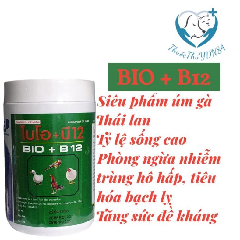 Bio b12 cúm gà con