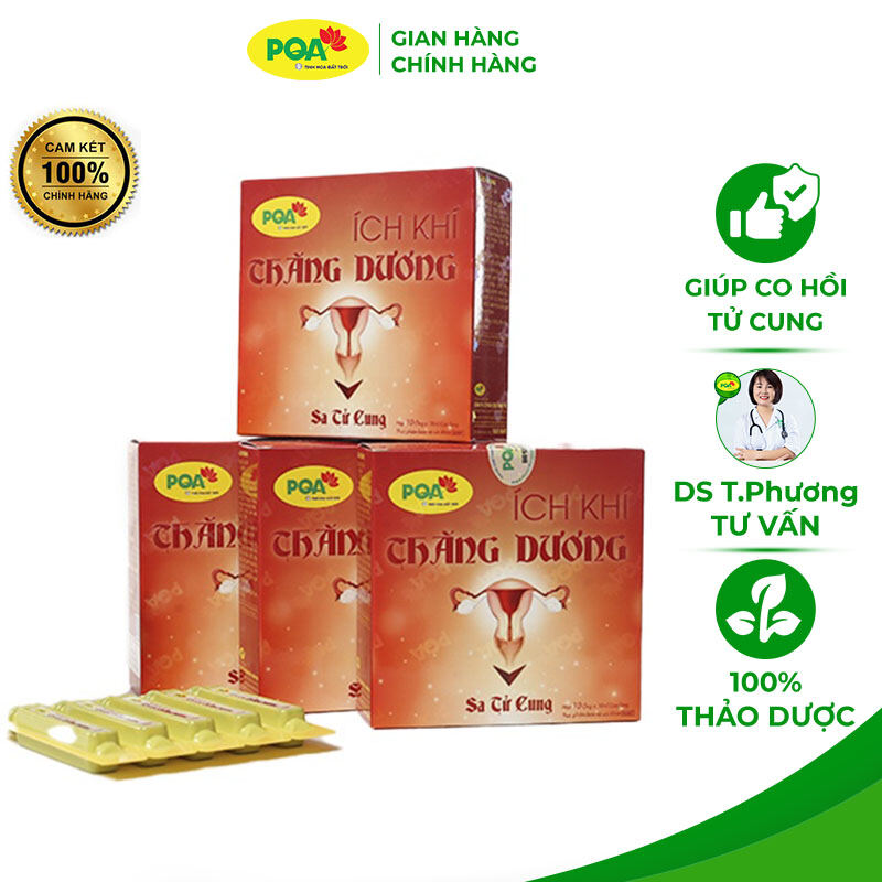 Combo 3 hộp PQA Ích khí thăng dương giúp giảm các triệu chứng Sa tử cung,