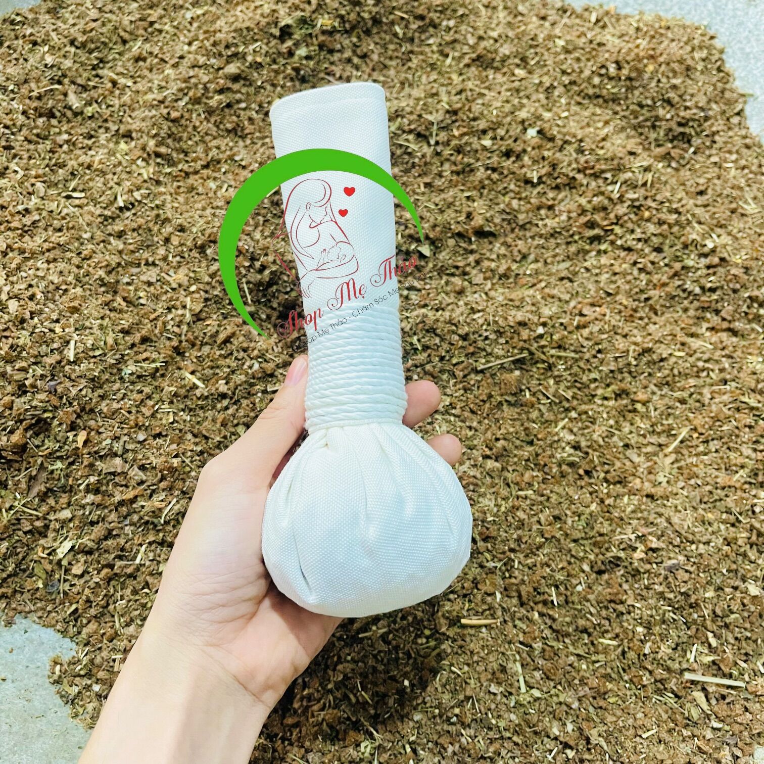CÂY MUỐI CHƯỜM MẮT THẢO DƯỢC