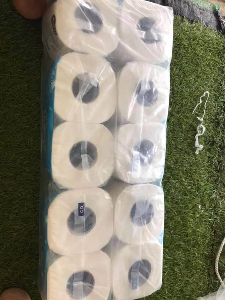 GIẤY VỆ SINH PULPPY 2  LỚP 10 CUỘN
