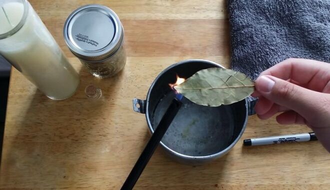 Lá nguyệt quế khô ( bay leave) của Nga ( giao ngẫu nhiên mã bao bì)