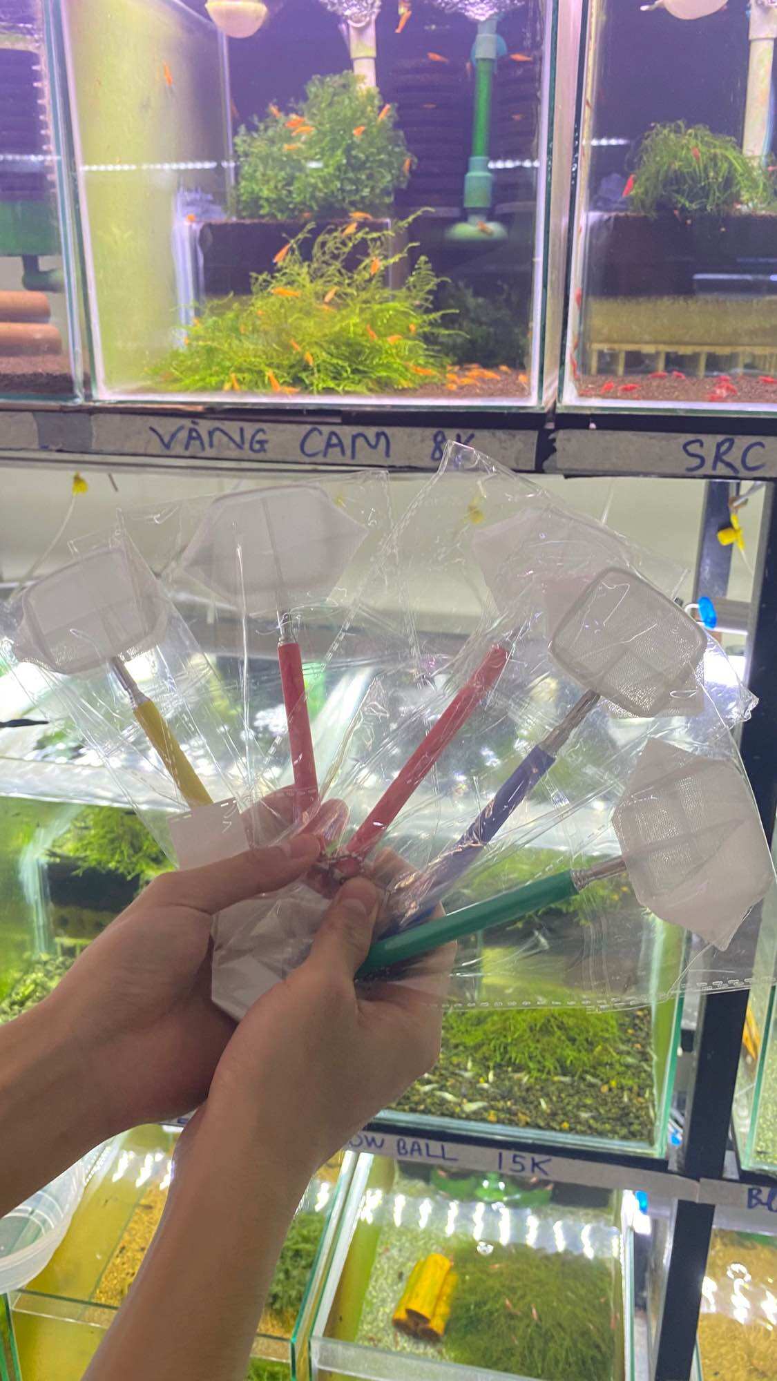 Vợt vớt tép cảnh 3D chuyên dùng vớt tép cảnh thuỷ sinh