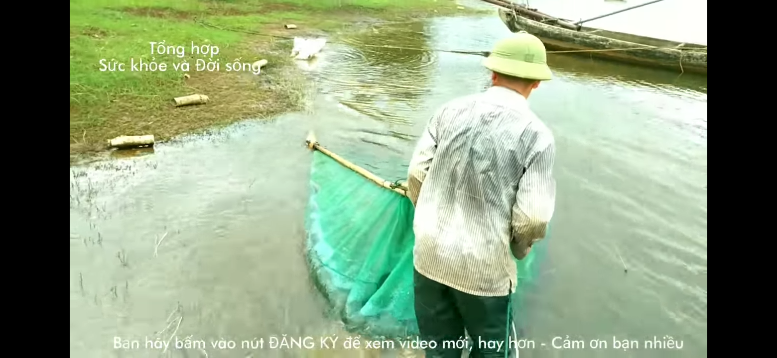 te tép,xiếc tôm cá nhỏ,tép riu mắt lưới 1ly(chú ý chỉ bán lưới)