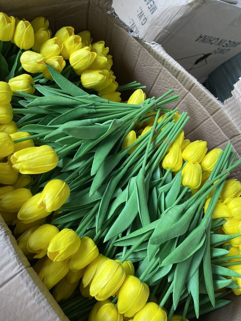 Hoa tulip cao su