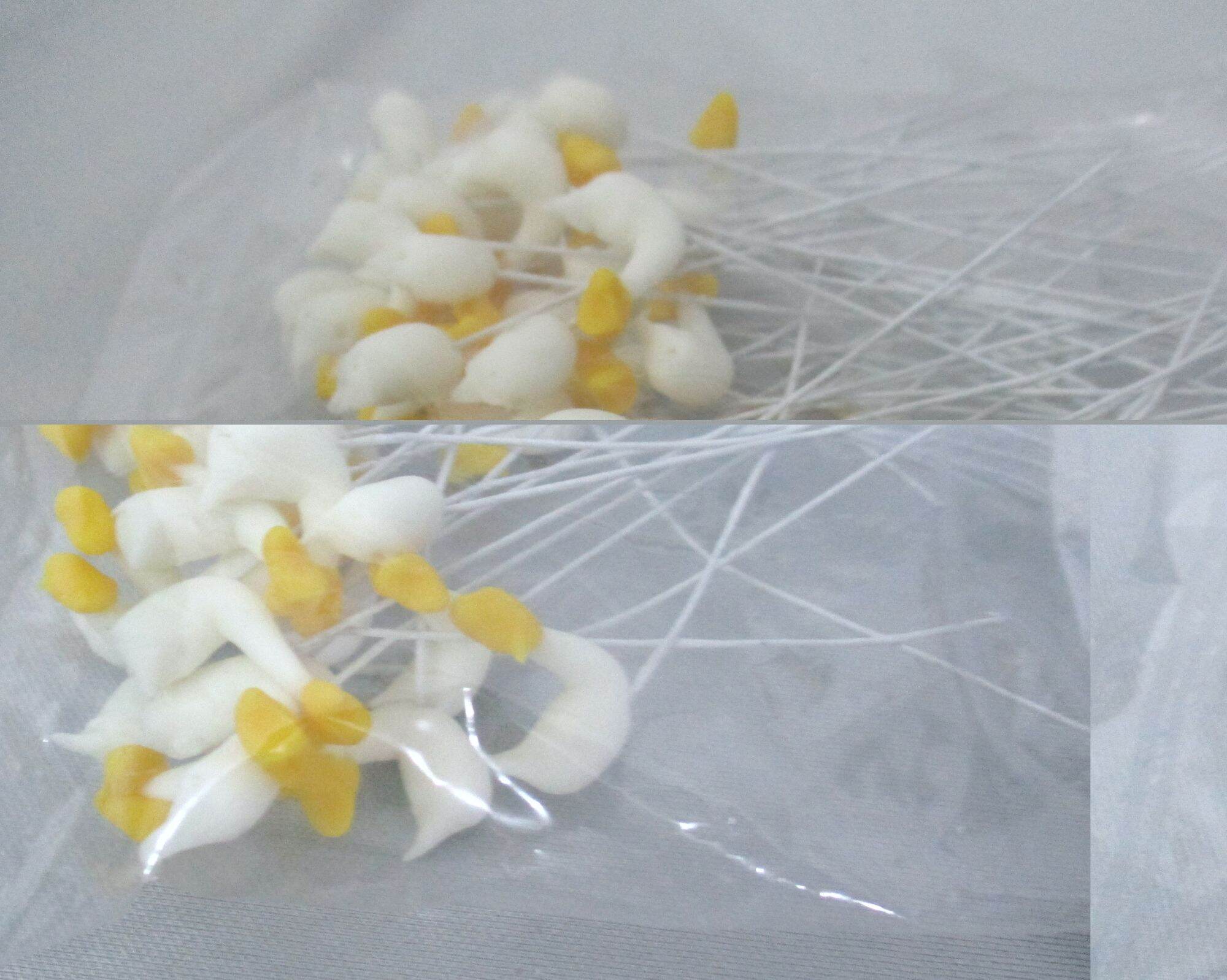 Nhụy Lan Hồ Điệp (50 nhụy)