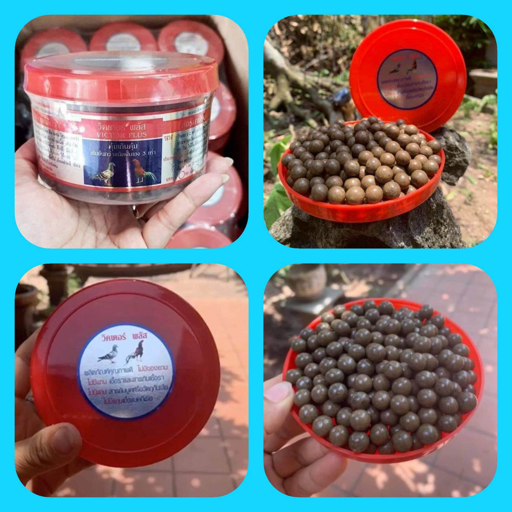 Bổ nội tạng VICTOR PLUS [ 300 viên ] - Dinh dưỡng nuôi lực cho chiến kê