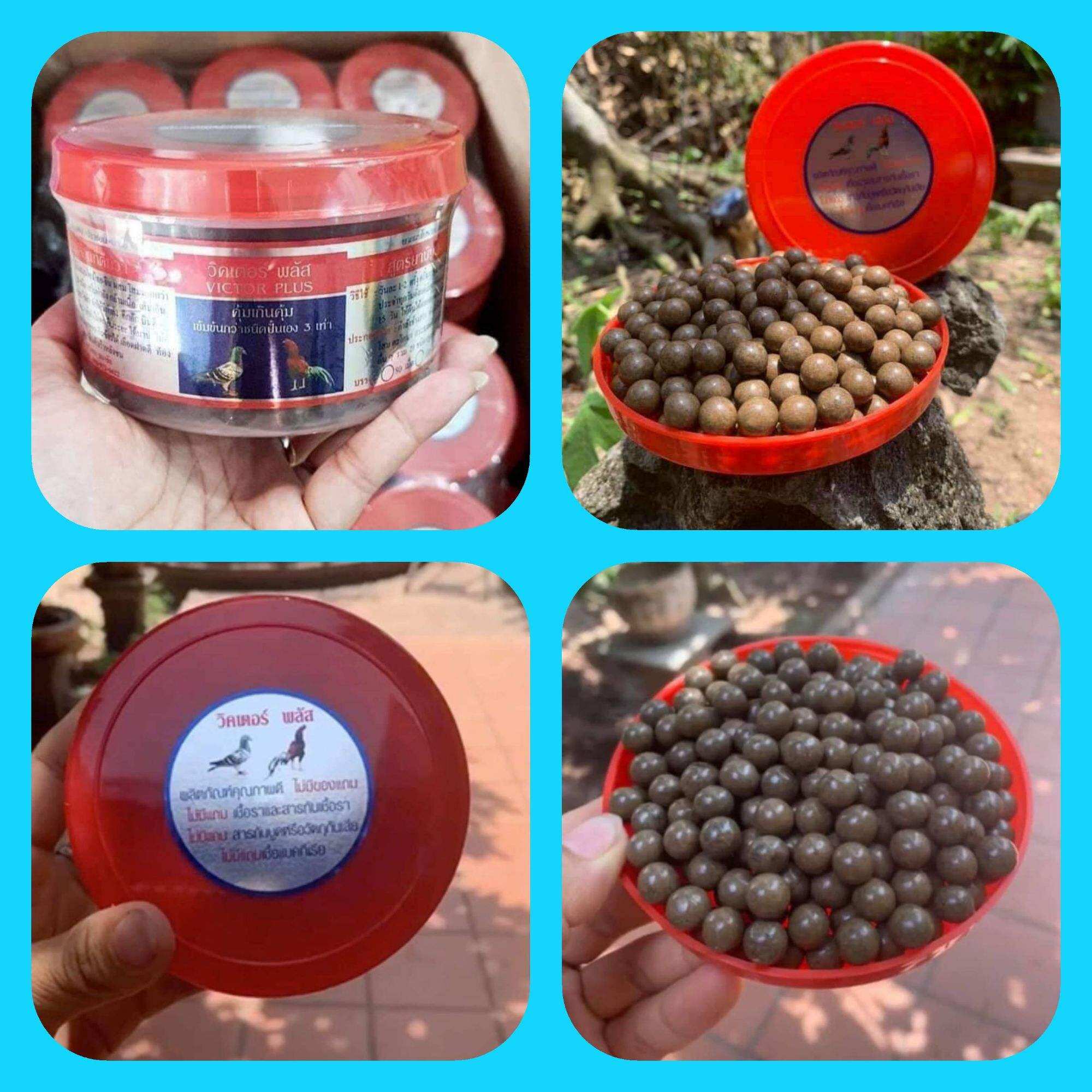 Bổ nội tạng VICTOR PLUS [ 300 viên ] - Dinh dưỡng nuôi lực cho chiến kê