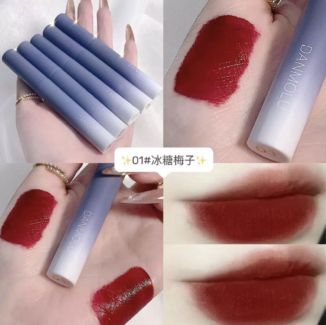 Set 5 cây son DANMOLU nội địa trung 2g*5