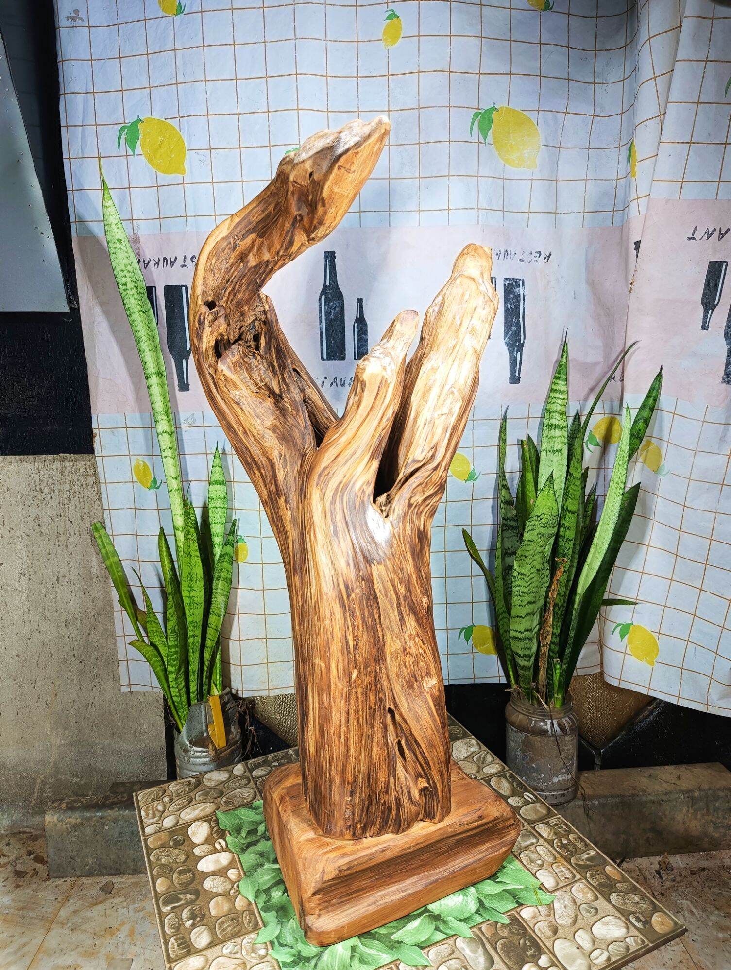 lũa gỗ thơm ngọc am đỏ hà giang
