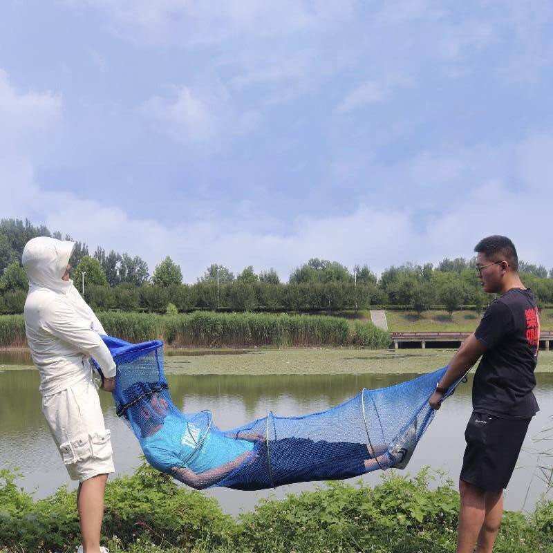 tùng lâm fehsing 2