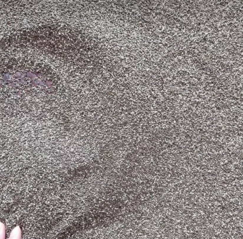 500g hạt vừng tròn
