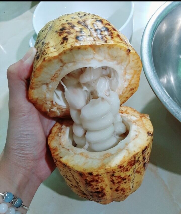 ca cao tư.ơ...i  (1 trái khoản 500g)