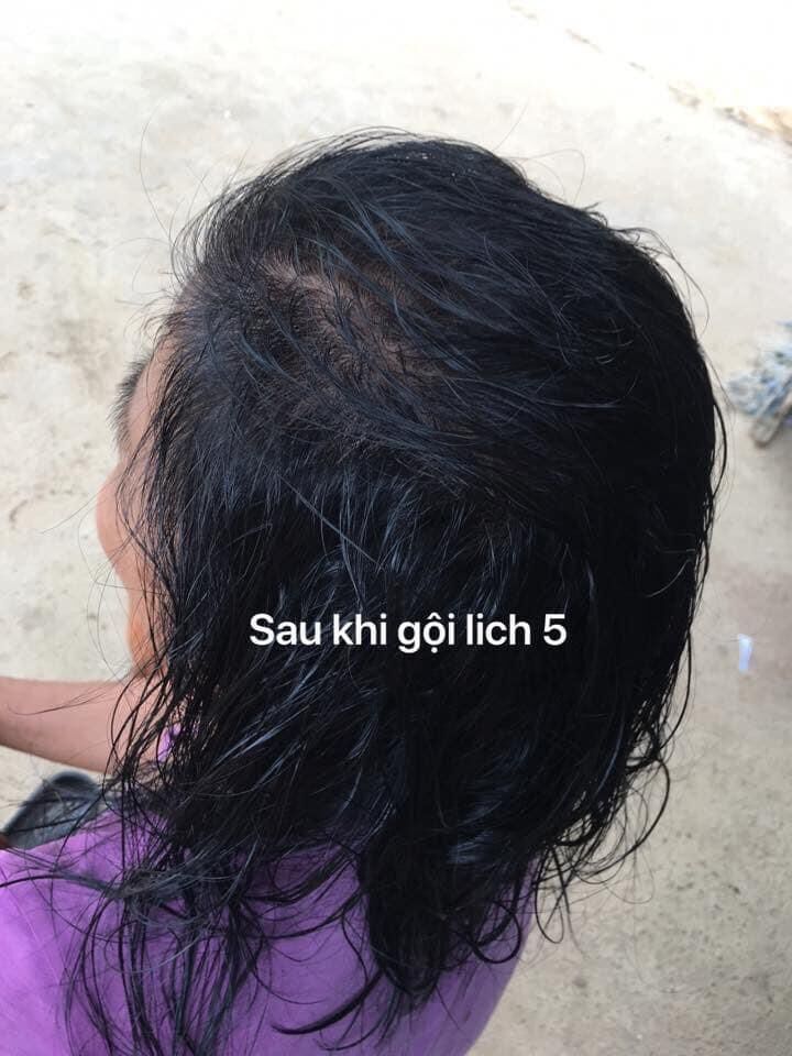 Dầu gội thảo dược nhuộm đen tóc Lich5