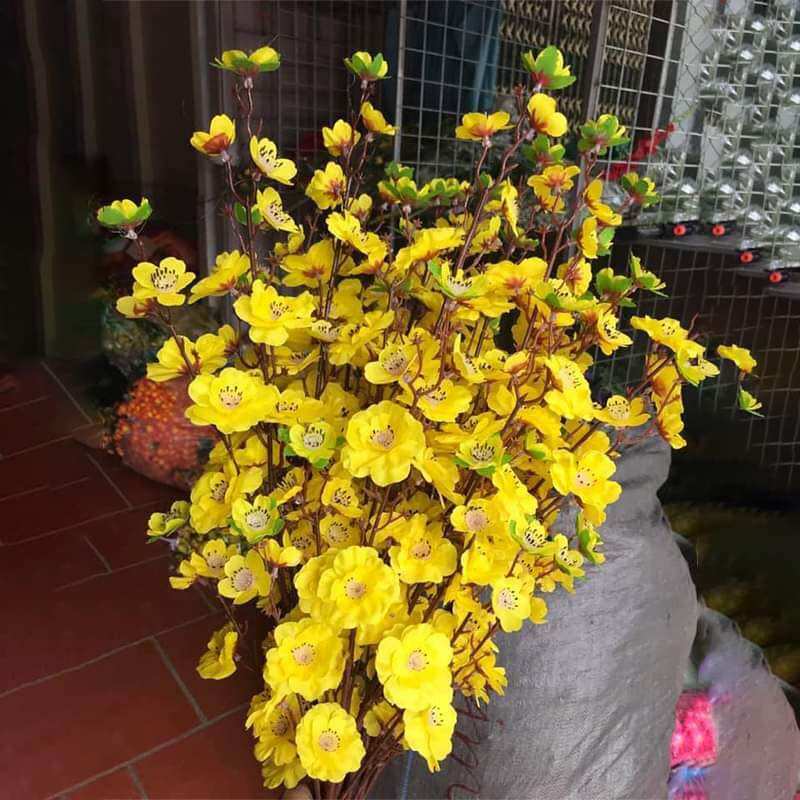 Hoa/cành đào-mai trang trí lễ Tết