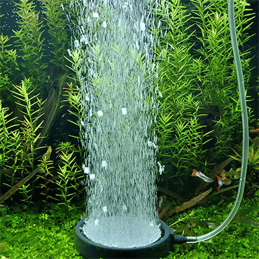 Đĩa sủi oxy siêu mịn cao cấp - Mr Fish