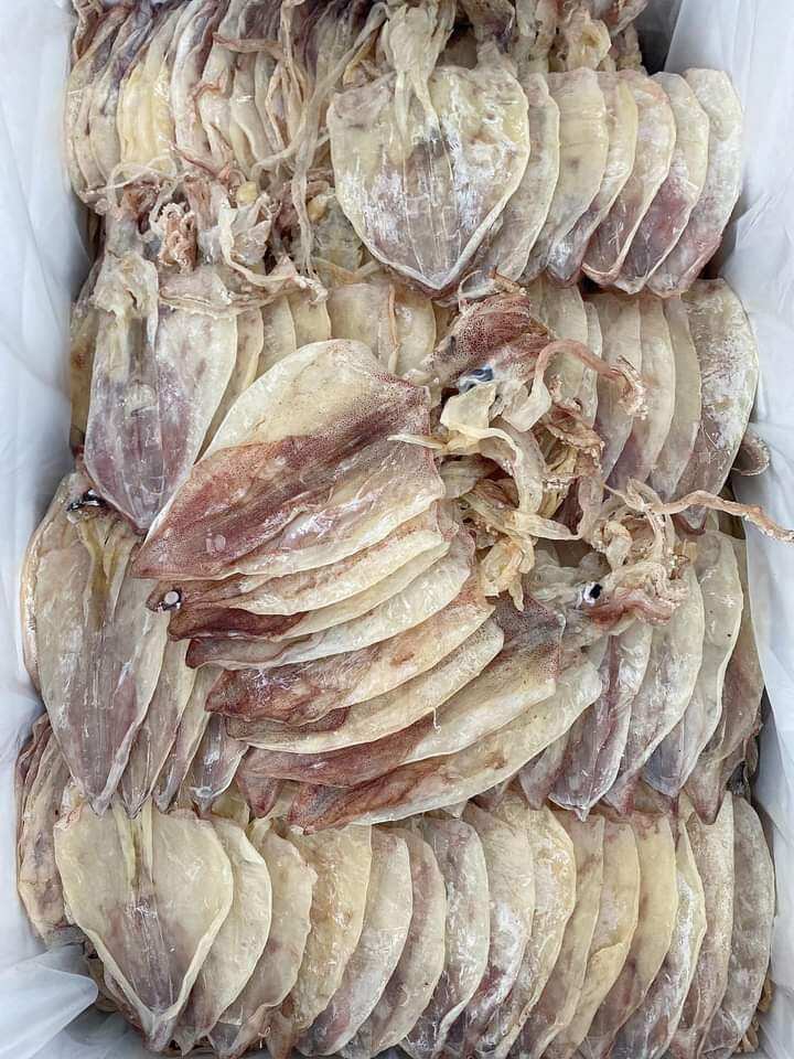 Khô Mực Cà Mau Size 70-80con/kg