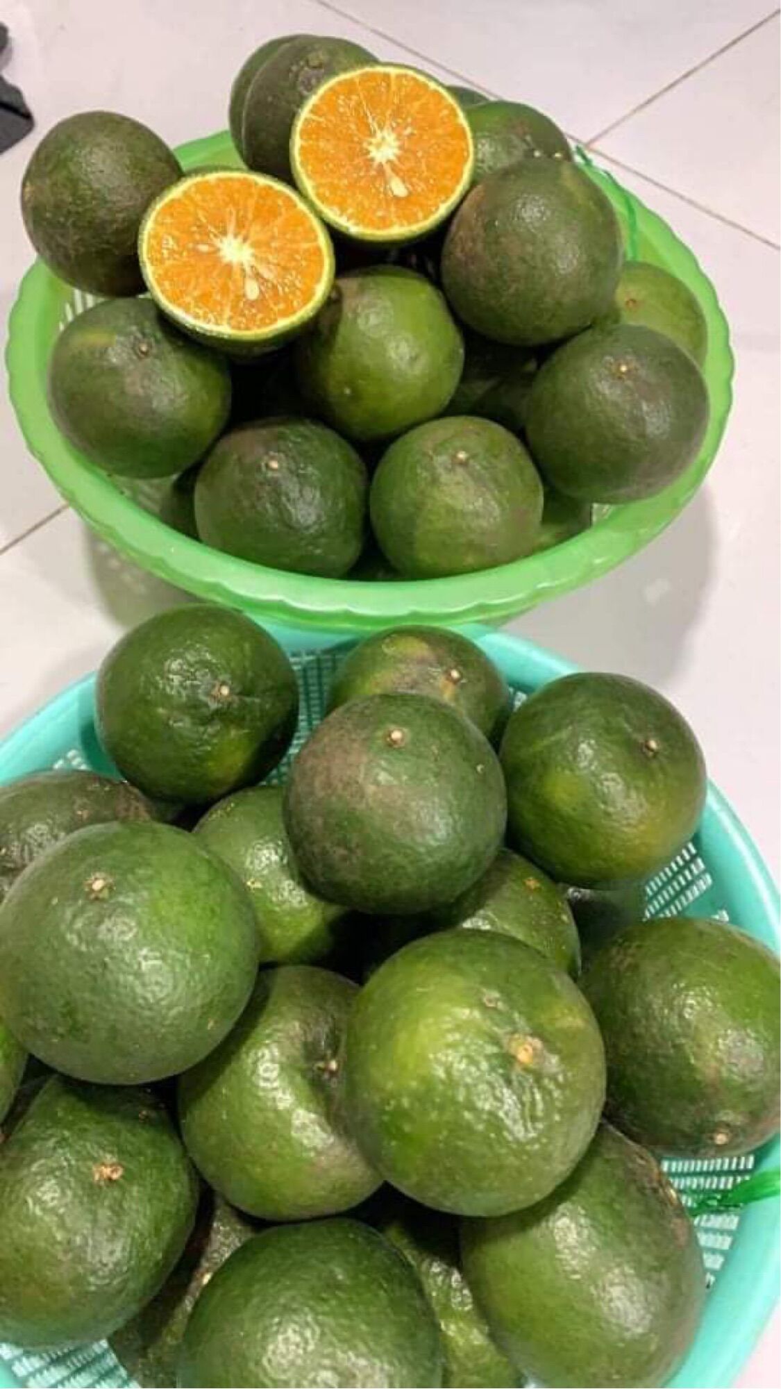 Cam hiếu liêm nhà vườn 35k/1kg