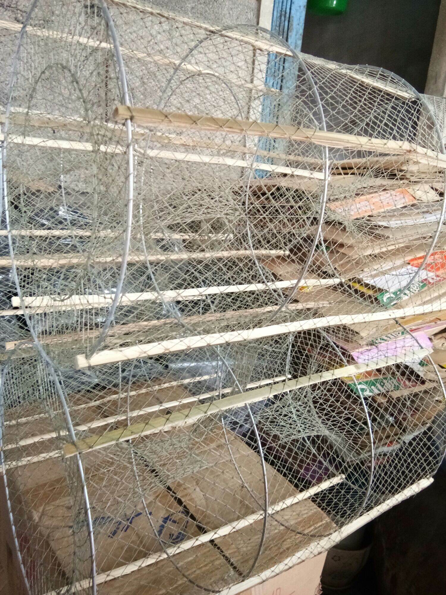 Lờ xếp đặt cá vành chì