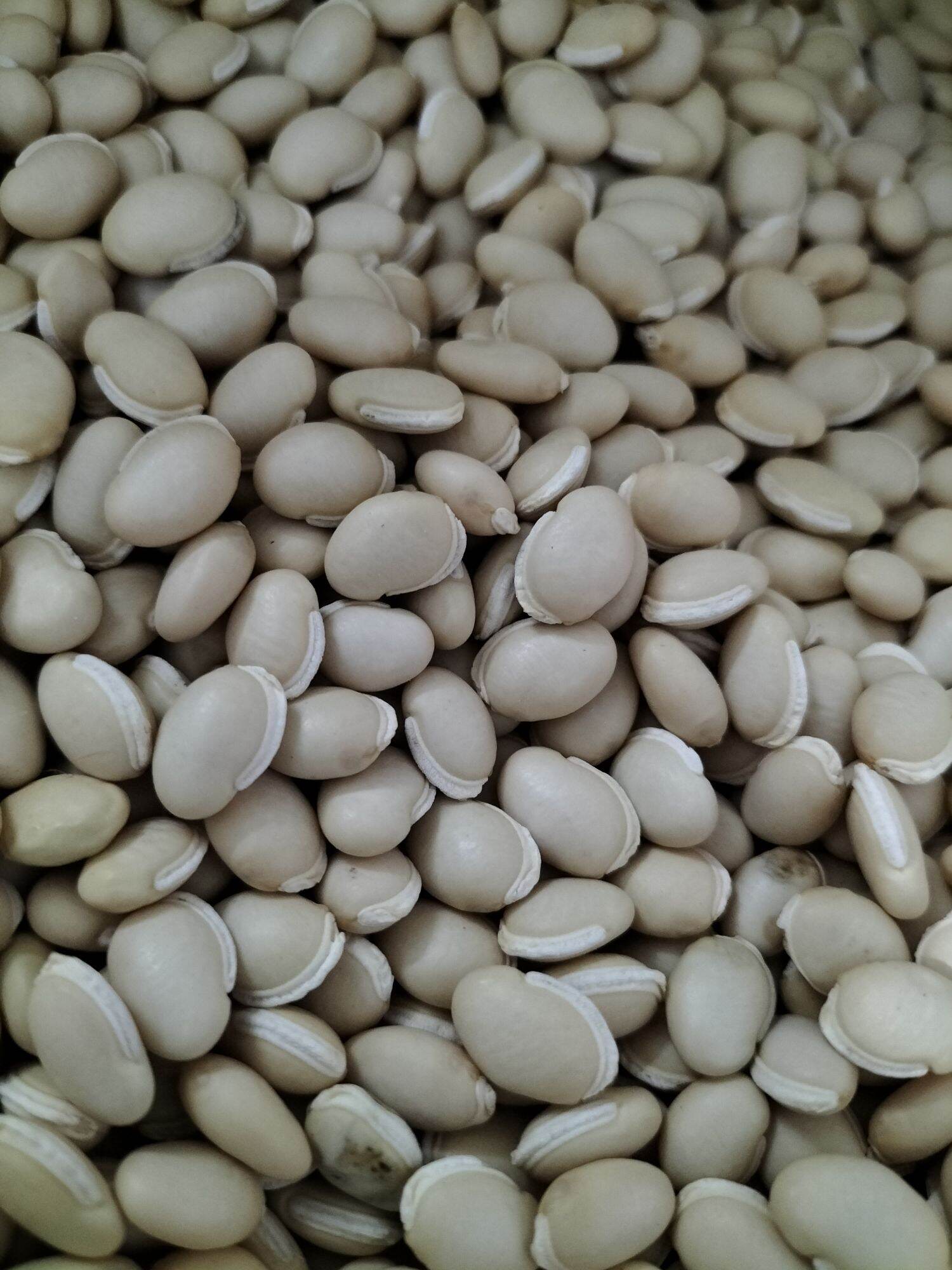 1kg đậu ván Indo trắng đẹp, nấu chè hạt nở to bùi