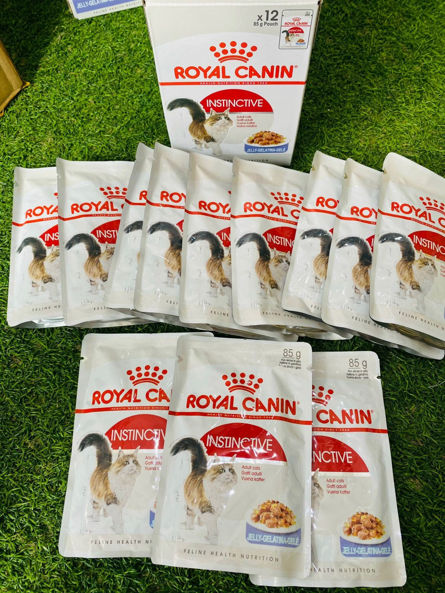 Pate cho mèo Royal Canin Instinctive Jelly 85g