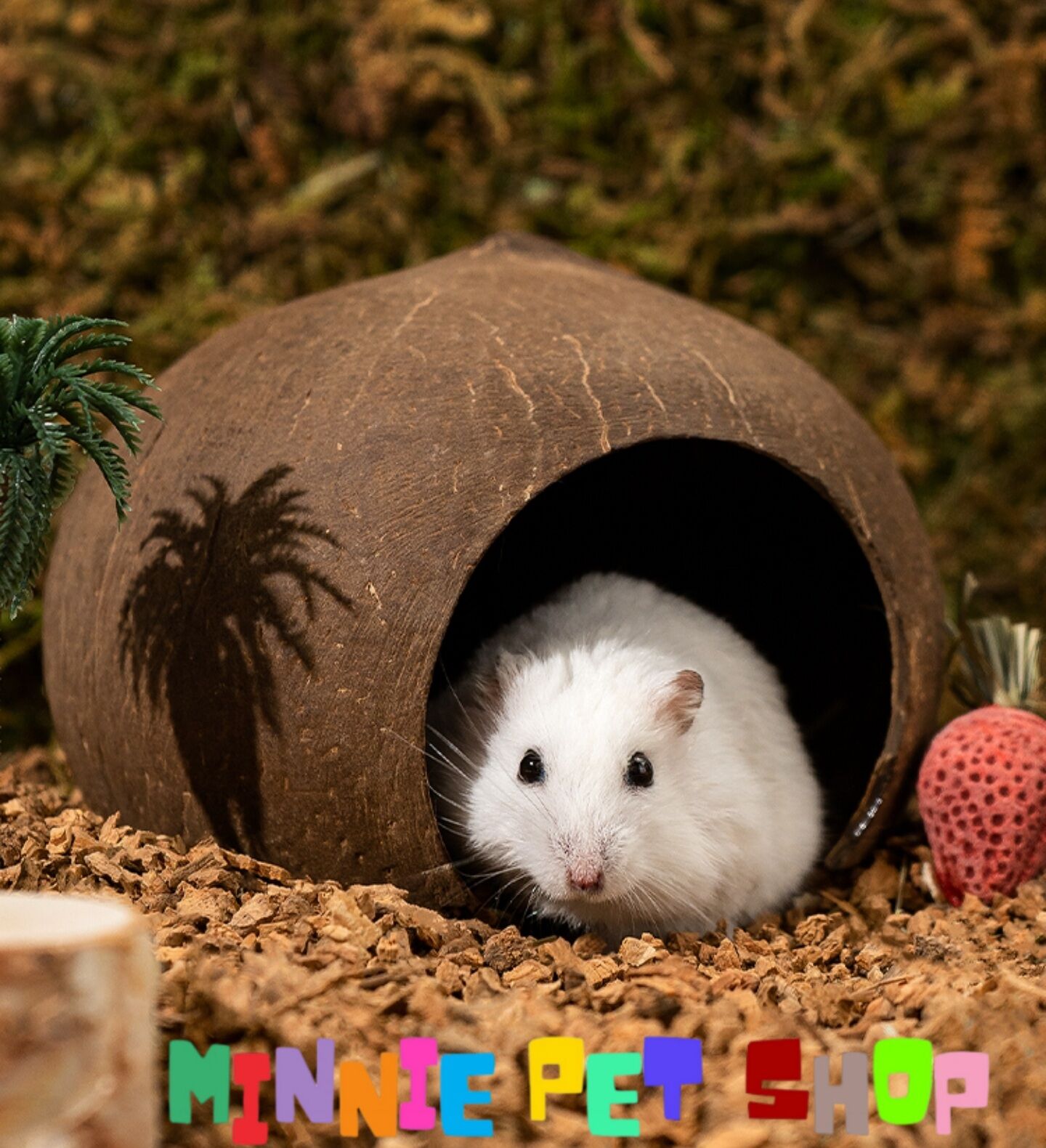 Nhà ổ ngủ gáo dừa cho hamster