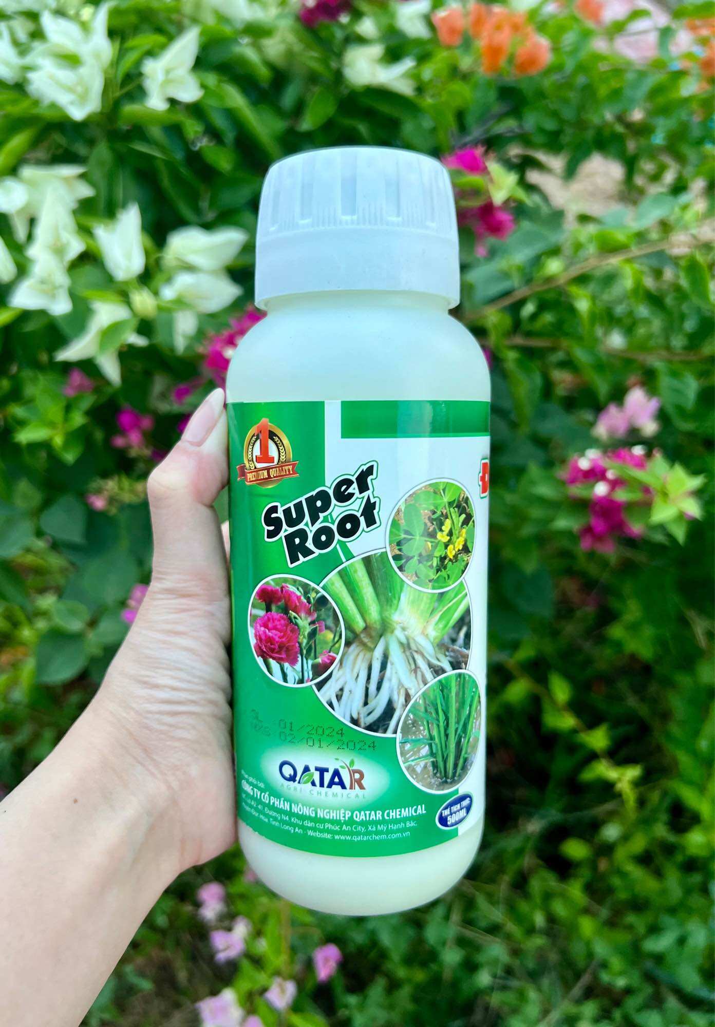 Super root 500ml đẻ nhánh ra rễ siêu nở bụi đẻ nhiều nhánh ra rễ cực mạnh