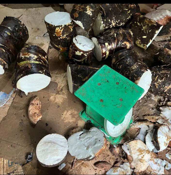 3kg bac hà núi -An giang