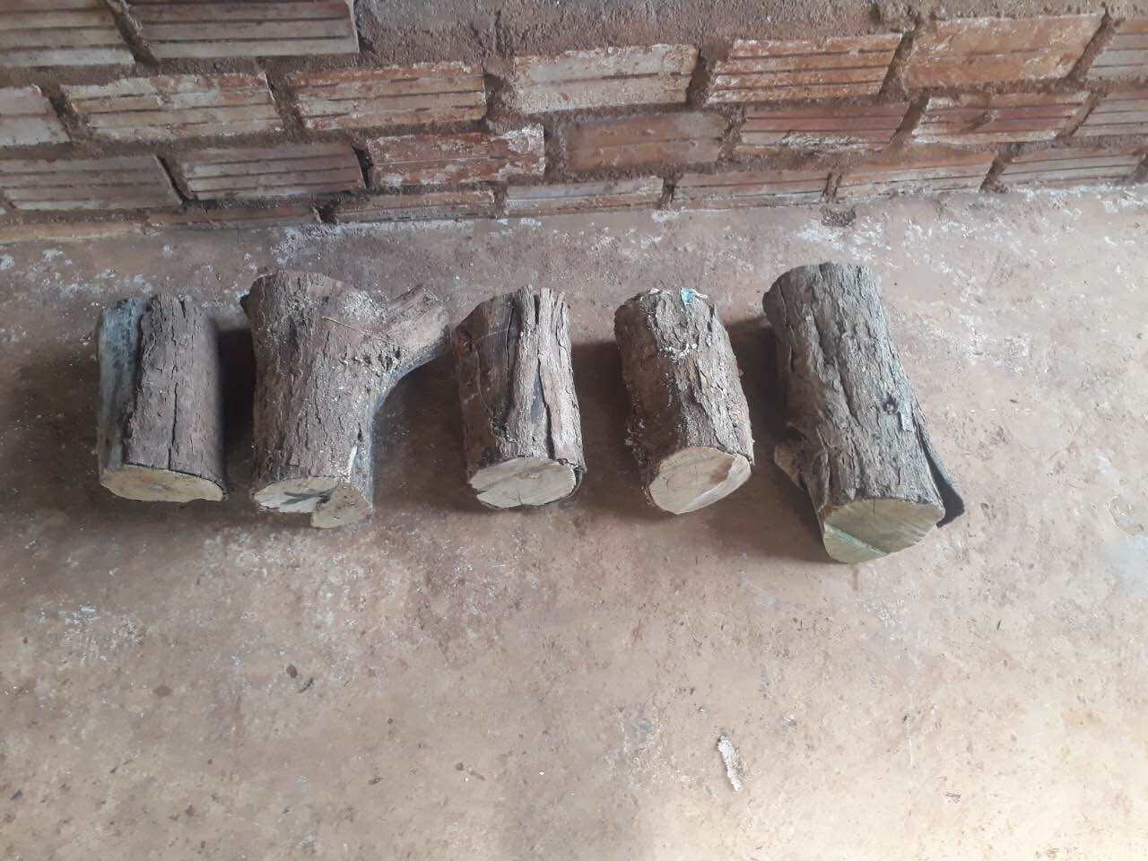 Gỗ lũa ghép lan