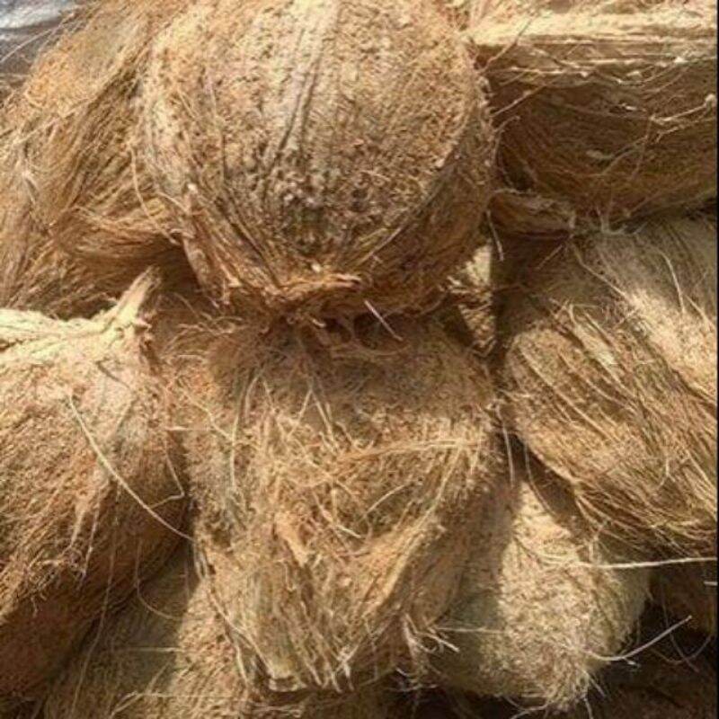 Dừa khô trái dưới 1kg
