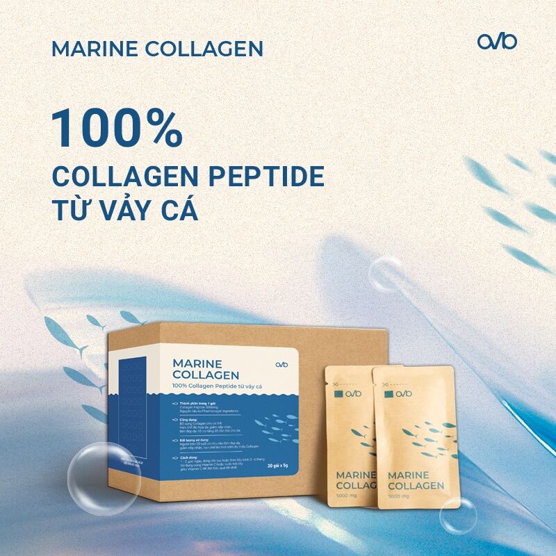 Marine collagen - 100% collagen từ vảy cá hồi