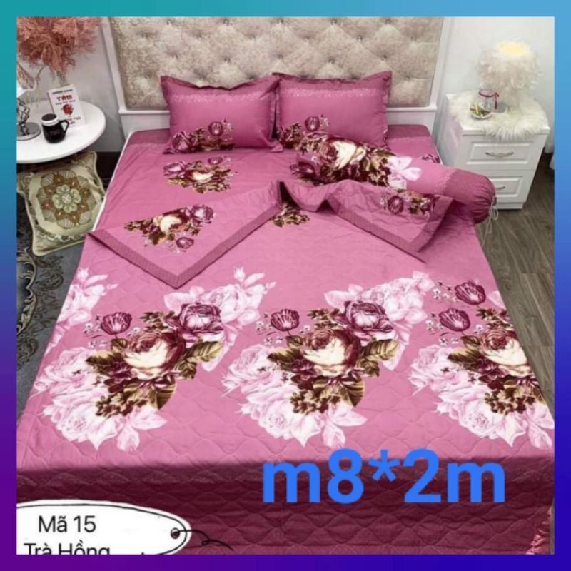 Sét 5 món ga gối cotton poly m8*2m